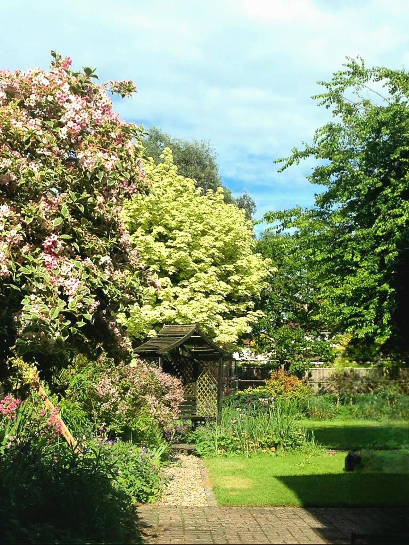 Hollybush Guest House Oxford Eksteriør billede